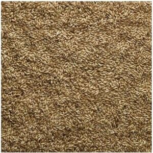 Bucktons Loose Canary Seed - 500g Bucktons Loose Canary Seed - 500g