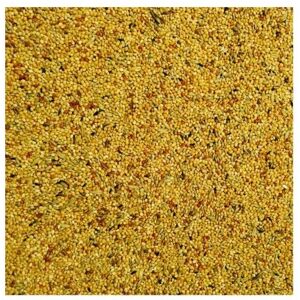 Bucktons Loose Foreign Finch - 5kg Bucktons Loose Foreign Finch - 5kg