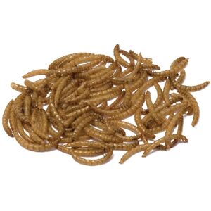 Bucktons Loose Dried Mealworms - 1kg Bucktons Loose Dried Mealworms - 1kg