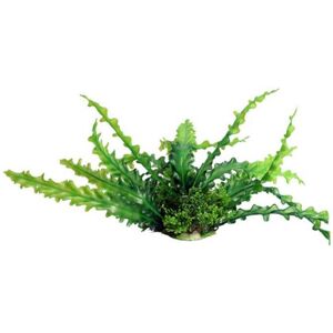 Aqua One Ecoscape Medium Aquatic Plants - Ruffled Lace Plant Green Aqua One Ecoscape Medium Aquatic Plants - Ruffled Lace Plant Green