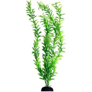 Aqua One Ecoscape XLarge Aquatic Plants - Hygro Green Aqua One Ecoscape XLarge Aquatic Plants - Hygro Green