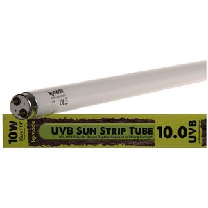 Komodo Fluorescent T8 Bulb UVB Tube 10% - 10W Komodo Fluorescent T8 Bulb UVB Tube 10% - 10W