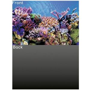 SuperFish Grey/Reef Aquarium Poster - 120x61cm Background SuperFish Grey/Reef Aquarium Poster - 120x61cm Background