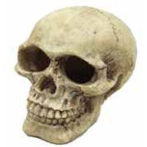 Aqua One Aquarium Ornament - Skull Aqua One Aquarium Ornament - Skull