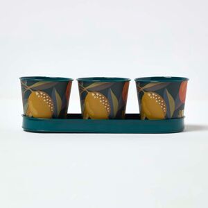 Homescapes Set of 3 Iron Herb Pots, 35 x 11.5 x 11.5 cm, Multi Colour, Citrus, in Decorative Tray, Durable Homescapes Set of 3 Iron Herb Pots, 35 x 11.5 x 11.5 cm, Multi Colour, Citrus, in Decorative Tray, Durable