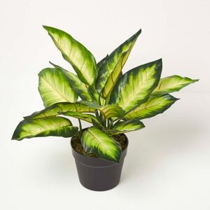 Homescapes Artificial Dieffenbachia Dumb Cane Plant in Pot 50 cm Tall Homescapes Artificial Dieffenbachia Dumb Cane Plant in Pot 50 cm Tall