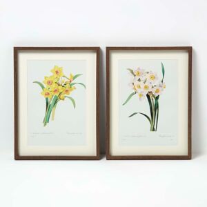Homescapes Set of 2 Flower Wall Art, 30 x 40 x 2.5 cm, White, Yellow, Narcissus Daffodils, Wooden Frames, Dust-Protected Homescapes Set of 2 Flower Wall Art, 30 x 40 x 2.5 cm, White, Yellow, Narcissus Daffodils, Wooden Frames, Dust-Protected