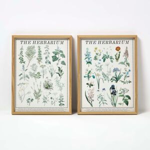 Homescapes Set of 2 Herbarium Wall Art Prints, 40 x 30 cm, Multi Colour, Floral, Wooden Frames Homescapes Set of 2 Herbarium Wall Art Prints, 40 x 30 cm, Multi Colour, Floral, Wooden Frames