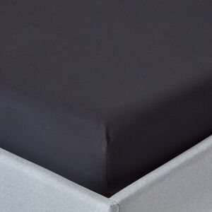 Homescapes 100% Egyptian Cotton 200 TC Single Fitted Sheet, 30 cm Deep, Black, Elasticated, Machine Washable, Hypoallergenic Homescapes 100% Egyptian Cotton 200 TC Single Fitted Sheet, 30 cm Deep, Black, Elasticated, Machine Washable, Hypoallergenic