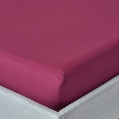 Homescapes 100% Egyptian Cotton 200 TC Double Fitted Sheet, 30 cm Deep, Plum Purple, Elasticated, Machine Washable, Hypoallergenic Homescapes 100% Egyptian Cotton 200 TC Double Fitted Sheet, 30 cm Deep, Plum Purple, Elasticated, Machine Washable, Hypoallergenic