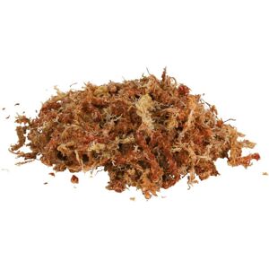 Moss substrate for tropical terrariums Trixie 4,5 L Moss substrate for tropical terrariums Trixie 4,5 L