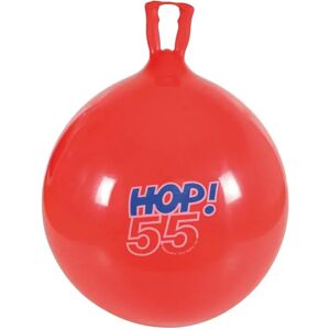 Junior Training Ball Gymnic Hop Mixte 55 cm Junior Training Ball Gymnic Hop Mixte 55 cm