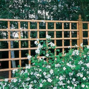 Forest Garden Forest 6' x 2' Heavy Duty Square Garden Trellis Fence Panel (1.83m x 0.61m) Forest Garden Forest 6' x 2' Heavy Duty Square Garden Trellis Fence Panel (1.83m x 0.61m)