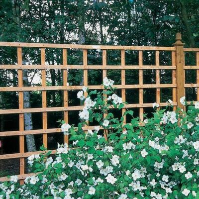 Forest Garden Forest 6' x 4' Heavy Duty Square Garden Trellis Fence Panel (1.83m x 1.22m) Forest Garden Forest 6' x 4' Heavy Duty Square Garden Trellis Fence Panel (1.83m x 1.22m)