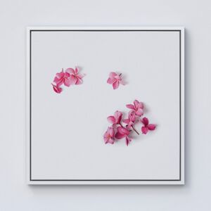 WRT Ltd Pink Frangipani Flowers Framed Canvas - 10" x 10" - White WRT Ltd Pink Frangipani Flowers Framed Canvas - 10" x 10" - White