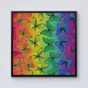 WRT Ltd Multicoloured Butterfly Pattern Framed Canvas - 10" x 10" - Black WRT Ltd Multicoloured Butterfly Pattern Framed Canvas - 10" x 10" - Black