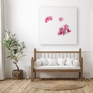 WRT Ltd Pink Frangipani Flowers Canvas - Medium 16" x 16" WRT Ltd Pink Frangipani Flowers Canvas - Medium 16" x 16"
