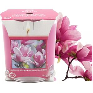 XS-Stock.com Ltd Baltus Scented Candle Glass Jar Holder 170g Fragrance 45 Hours - Magnolia Blooms XS-Stock.com Ltd Baltus Scented Candle Glass Jar Holder 170g Fragrance 45 Hours - Magnolia Blooms