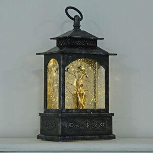 XS-Stock.com Ltd Cackle & Co Halloween Lantern Skeleton And Glitter Water XS-Stock.com Ltd Cackle & Co Halloween Lantern Skeleton And Glitter Water