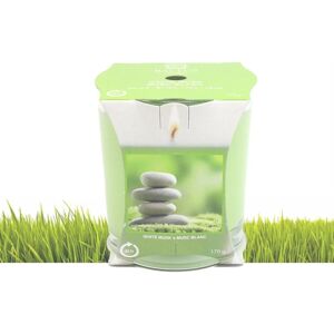 XS-Stock.com Ltd Baltus Scented Candle Glass Jar Holder 170g Fragrance 45 Hours - White Musk XS-Stock.com Ltd Baltus Scented Candle Glass Jar Holder 170g Fragrance 45 Hours - White Musk