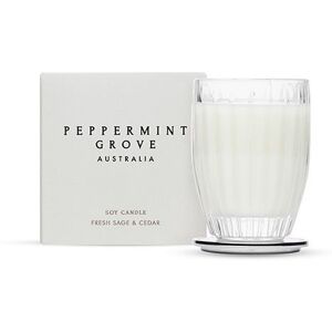 Jesters Party Fresh Sage & Cedar - Med Glass Jar Jesters Party Fresh Sage & Cedar - Med Glass Jar