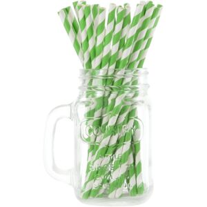 XS-Stock.com Ltd 250 Eco Friendly Recyclable Paper Straws Bright Colours - Stripe Green XS-Stock.com Ltd 250 Eco Friendly Recyclable Paper Straws Bright Colours - Stripe Green
