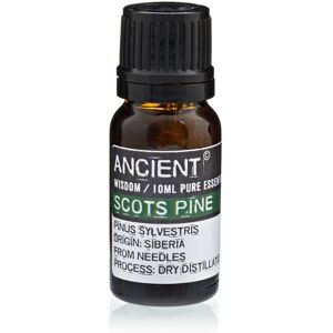 Why Not Shop UK Ltd 10 ml Pine Sylvestris (Scots Pine) Essential Oil Why Not Shop UK Ltd 10 ml Pine Sylvestris (Scots Pine) Essential Oil
