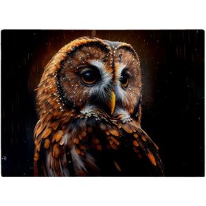 WRT Ltd Tawny Owl Face Splashart Dark Background Glass Chopping Board WRT Ltd Tawny Owl Face Splashart Dark Background Glass Chopping Board