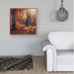WRT Ltd Autumn Forest Framed Canvas - 40" x 40" - Pine WRT Ltd Autumn Forest Framed Canvas - 40" x 40" - Pine