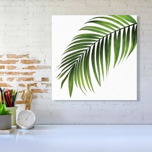 WRT Ltd Single Palm Leaf Canvas - Large 30" x 30" WRT Ltd Single Palm Leaf Canvas - Large 30" x 30"