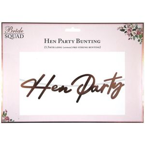 Why Not Shop UK Ltd Hen Party Rose Gold Banner 1.5M Pre-Strung Bunting Why Not Shop UK Ltd Hen Party Rose Gold Banner 1.5M Pre-Strung Bunting