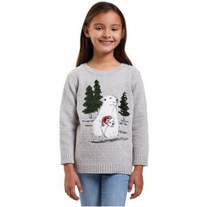 XS-Stock.com Ltd Girls Christmas Jumper Polar Bear Grey Chenille Xmas Top - 3-4 XS-Stock.com Ltd Girls Christmas Jumper Polar Bear Grey Chenille Xmas Top - 3-4