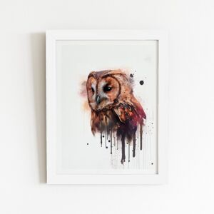WRT Ltd Tawny Owl Face Splashart Light Background Art Prints - 12" x 16" - Black frame WRT Ltd Tawny Owl Face Splashart Light Background Art Prints - 12" x 16" - Black frame