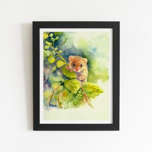 WRT Ltd Dormouse Watercolour Art Prints - 8" x 10" - Black frame WRT Ltd Dormouse Watercolour Art Prints - 8" x 10" - Black frame