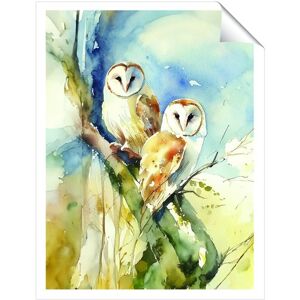 WRT Ltd Barn Owls Watercolour Art Prints - 8" x 10" - No frame WRT Ltd Barn Owls Watercolour Art Prints - 8" x 10" - No frame