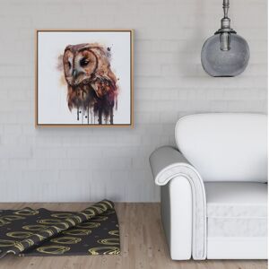 WRT Ltd Tawny Owl Face Splashart Light Background Framed Canvas - 30" x 30" - White WRT Ltd Tawny Owl Face Splashart Light Background Framed Canvas - 30" x 30" - White