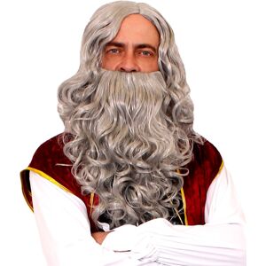 I Love Fancy Dress Curly Wig and Beard Set - Grey I Love Fancy Dress Curly Wig and Beard Set - Grey