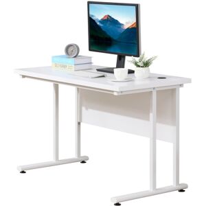 MHSTAR UK LTD HOMCOM Computer Desk, Home Office Desk, Writing Table, 120x60x75cm Laptop Workstation with 2 Cable Management Holes, C Shaped Metal Legs for Adults an
