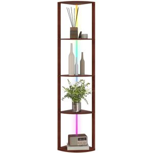 MHSTAR UK LTD HOMCOM RGB LED Floor Lamp with Shelves, 5-Tier Dimmable Standing Lamp with Adjustable Brightness and Remote Control, Modern Corner Display Shelf Unit