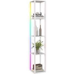 MHSTAR UK LTD HOMCOM RGB LED Floor Lamp with Shelves, Modern Dimmable Standing Lamp with Remote Control, Adjustable Brightness & Speed for Living Room, Bedroom, Off