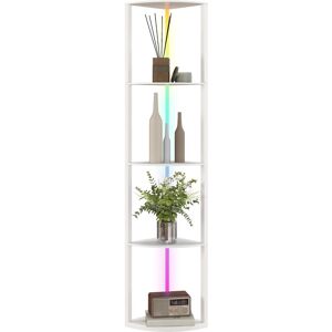 MHSTAR UK LTD HOMCOM RGB LED Floor Lamp with Shelves, 5-Tier Dimmable Standing Lamp with Adjustable Brightness and Remote Control, Modern Corner Display Shelf Unit