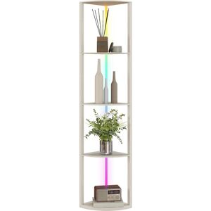 MHSTAR UK LTD HOMCOM RGB LED Floor Lamp with Shelves, 5-Tier Dimmable Standing Lamp with Adjustable Brightness and Remote Control, Modern Corner Display Shelf Unit