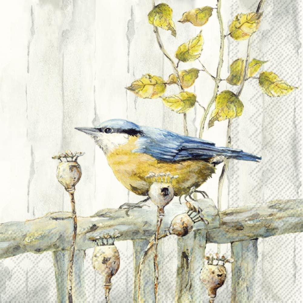 Gifts Direct 2 U Ltd Woodland Bluetit Bird Printed Party Cocktail Napkin 20-Pack Disposable 3-Ply