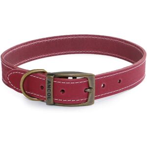 Real Pet Store Ancol Timberwolf Leather Collars Raspberry 8 Sizes - Size 8 (55-63cm) Real Pet Store Ancol Timberwolf Leather Collars Raspberry 8 Sizes - Size 8 (55-63cm)