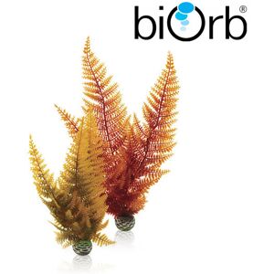 Real Aquatics BiOrb Autumn Fern Set Pk of 2 46065 Real Aquatics BiOrb Autumn Fern Set Pk of 2 46065