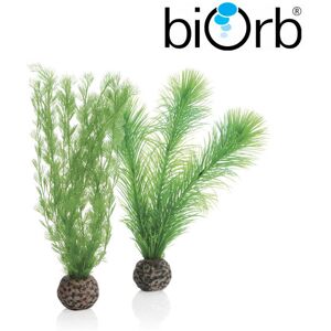 Real Aquatics BiOrb Feather Fern Set Green Small Pk of 2 46083 Real Aquatics BiOrb Feather Fern Set Green Small Pk of 2 46083