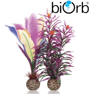 Real Aquatics BiOrb Parrots Feather Medium Pk of 2 55079 Real Aquatics BiOrb Parrots Feather Medium Pk of 2 55079