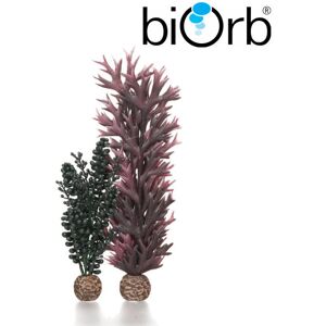 Real Aquatics BiOrb Seapearls & Kelp Dark Green Pk of 2 55074 Real Aquatics BiOrb Seapearls & Kelp Dark Green Pk of 2 55074