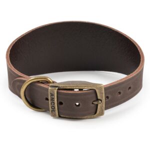 Real Pet Store Ancol Timberwolf Greyhound & Whippet Leather Collars Sable 2 Sizes - Size 4 (34-43cm) Real Pet Store Ancol Timberwolf Greyhound & Whippet Leather Collars Sable 2 Sizes - Size 4 (34-43cm)