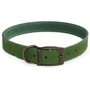Real Pet Store Ancol Timberwolf Leather Collars Green 8 Sizes - Size 1 (20-26cm) Real Pet Store Ancol Timberwolf Leather Collars Green 8 Sizes - Size 1 (20-26cm)